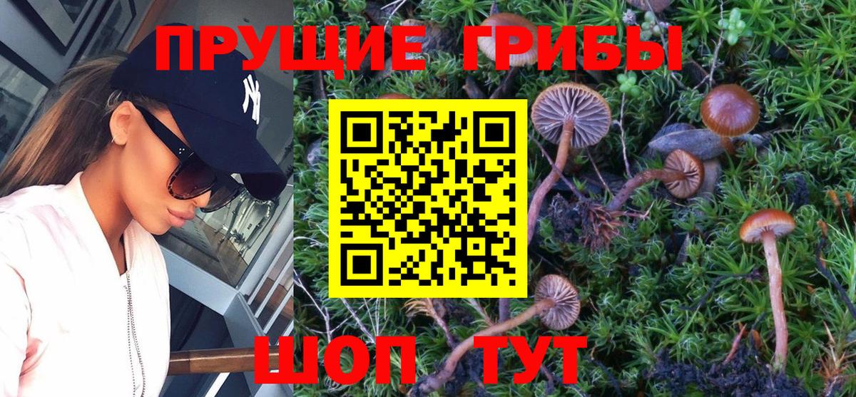Острогожск  Псилоцибиновые грибы Cubensis  Галлюциногенные грибы ЛСД  Вход с VPN 